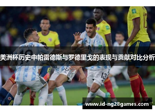 美洲杯历史中帕雷德斯与罗德里戈的表现与贡献对比分析