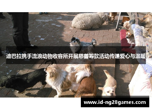 迪巴拉携手流浪动物收容所开展慈善筹款活动传递爱心与温暖 迪巴拉携手流浪动物收容所开展慈善筹款活动传递爱心与温暖